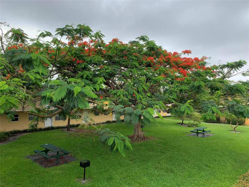 5168 NE 6th Avenue # 426, Fort Lauderdale FL 33334