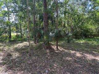 000 129th Avenue N, Royal Palm Beach FL 33411