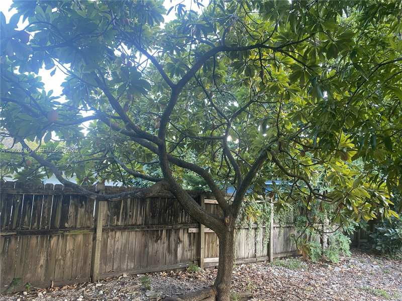 209 NW 17th Pl, Miami FL 33125