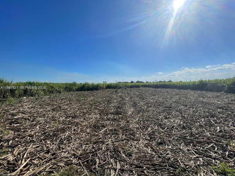 80 State Road, Unincorporated Palm Beach County FL 33440