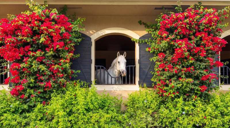 14911 Equestrian Way, Wellington FL 33414