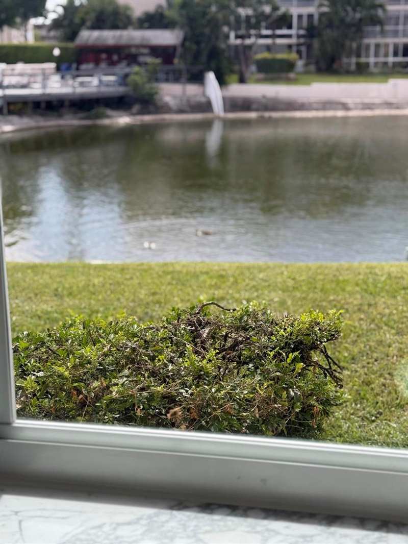 2616 N Gardens Drive # 105, Lake Worth FL 33461