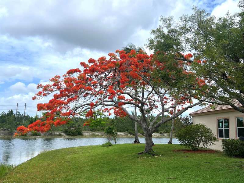 4552 N San Andros, West Palm Beach FL 33411