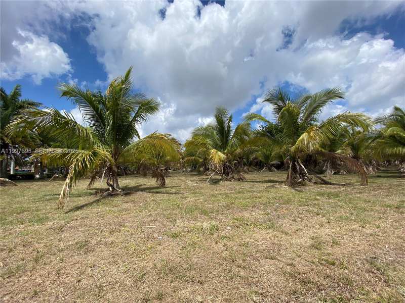 4411 Forest Hill Blvd, Palm Springs FL 33406