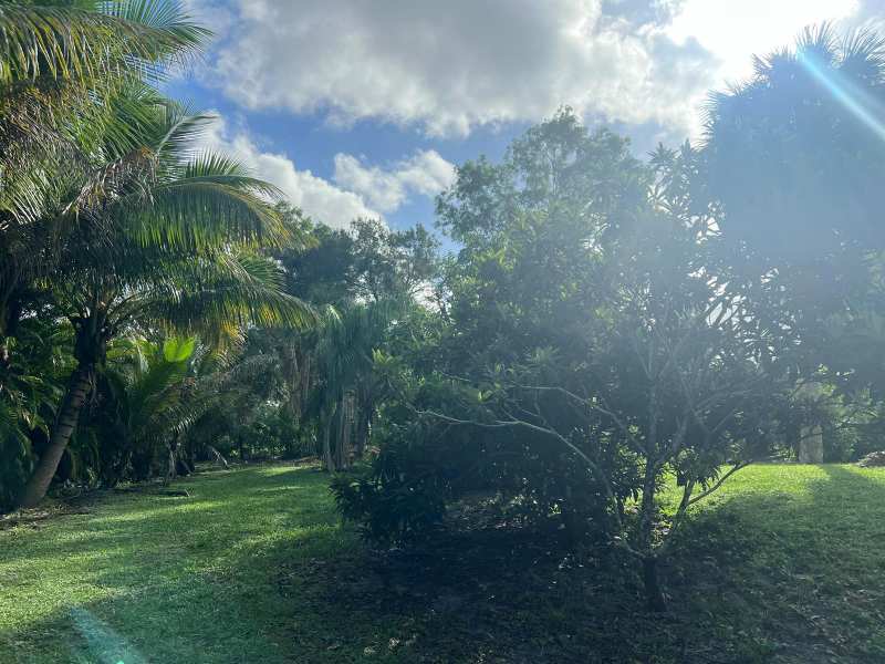 17254 32nd Lane N, FL 33470