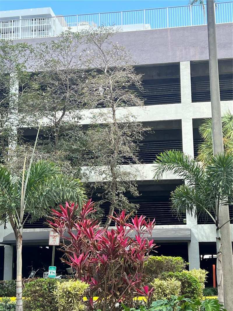 850 N Miami Ave # 1806, Miami FL 33136