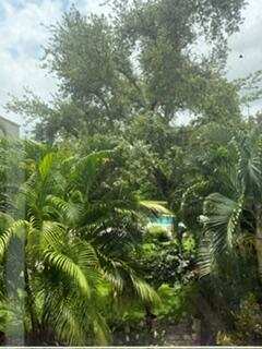 501 SW 11th # 211, Boca Raton FL 33432