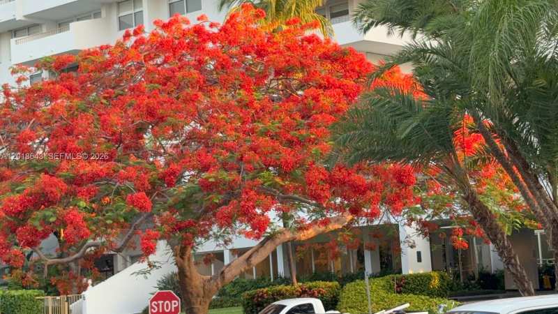 199 Ocean Lane Dr # 113, Key Biscayne FL 33149