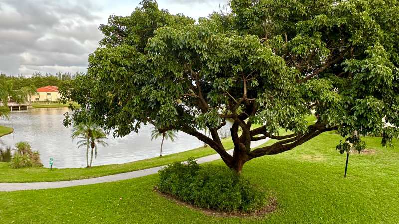 4988 Sable Pine Circle # C2, West Palm Beach FL 33417