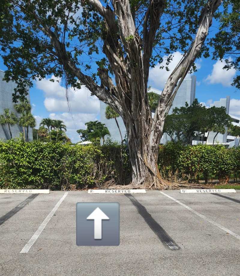 6500 NW 2nd Avenue # 311, Boca Raton FL 33487