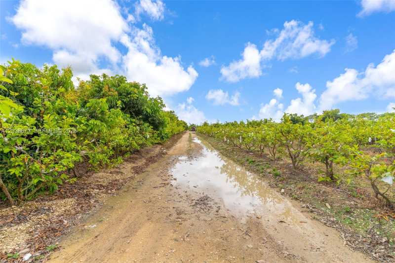 342XX SW 219 AVENUE, Miami FL 33034