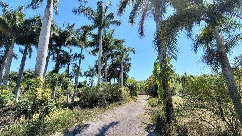 4095 Windmill Road, Loxahatchee FL 33470