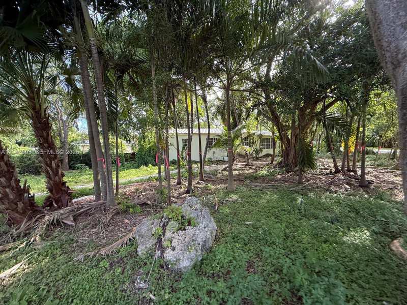 6600 SW 64th Ct, South Miami FL 33143