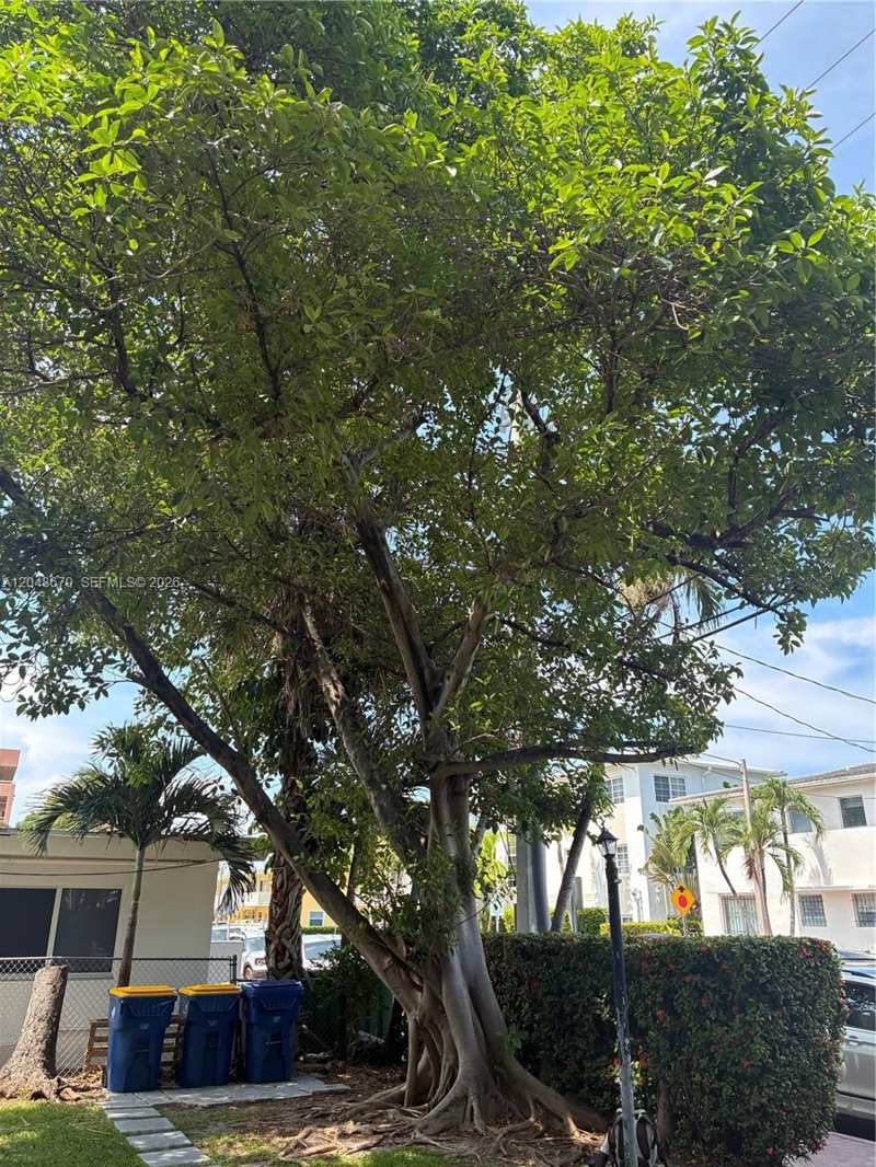 8020 Abbott Ave # 6, Miami Beach FL 33141
