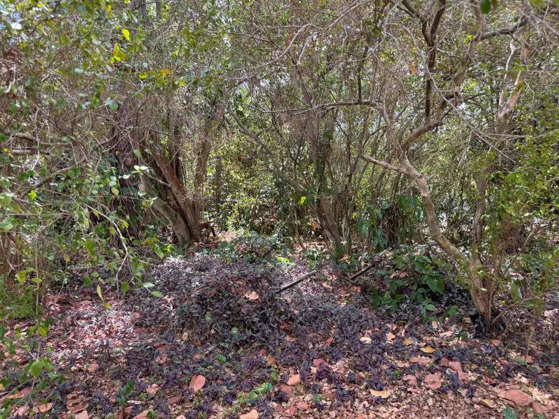 3358 S Jog Road, FL 33467