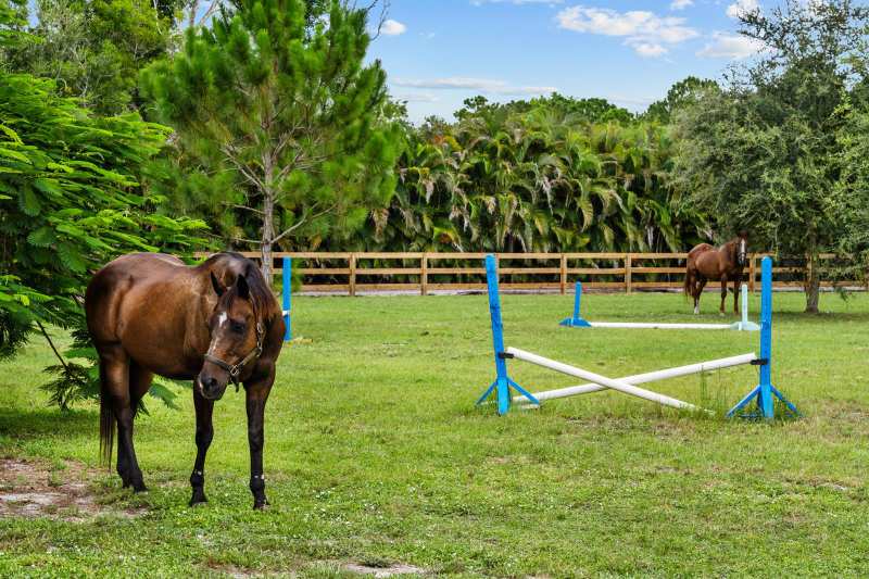 19925 Black Falcon Road, Loxahatchee FL 33470