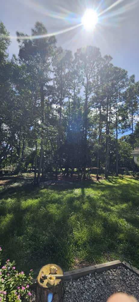 15941 MELLEN Lane, FL 33478