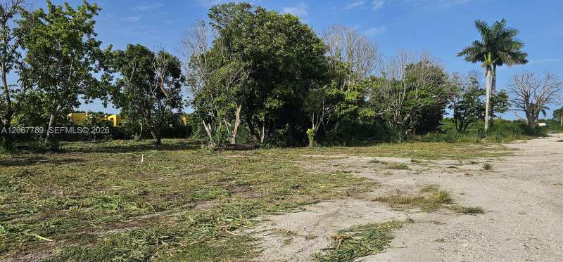 197 Ave / SW 144th Street, Miami FL 33196