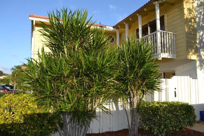 176 Seabreeze Circle, Jupiter FL 33477