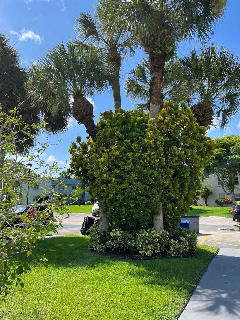 23 Piedmont # A, Delray Beach FL 33484