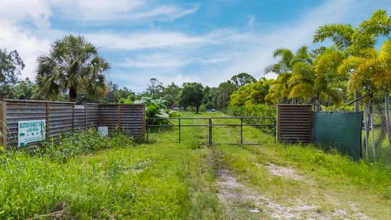 6424 Park Lane W, FL 33449